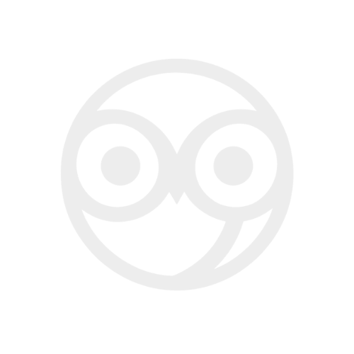 Owlsight logo